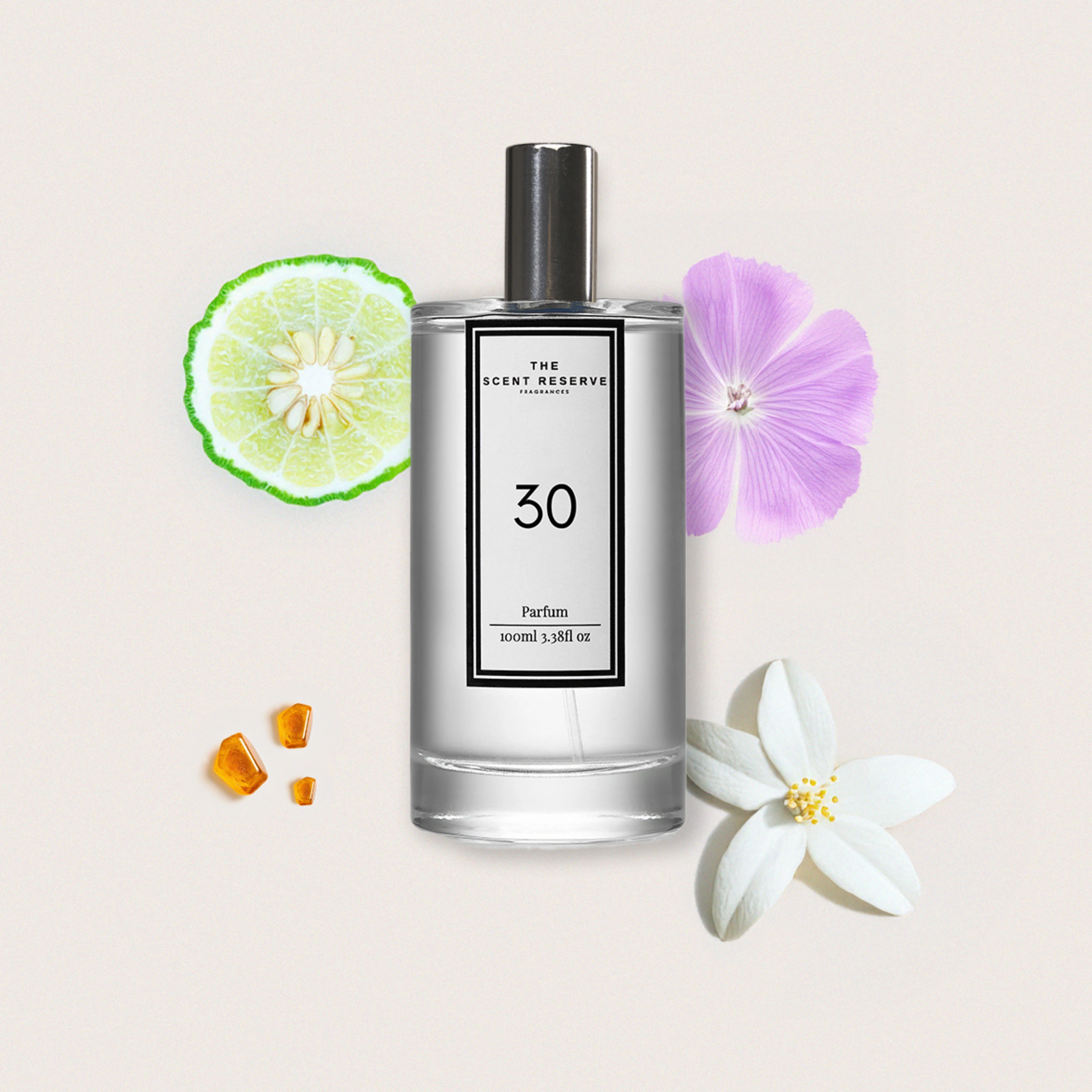 30 - Inspired by The Favourite (Female) - Image 2